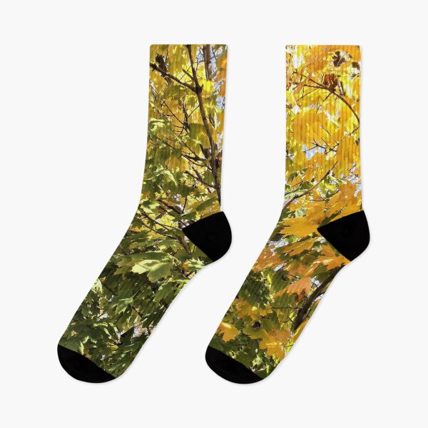 Item preview, Leaves Starting to Change designed and sold by Scott and Mary Schneider art_photography.