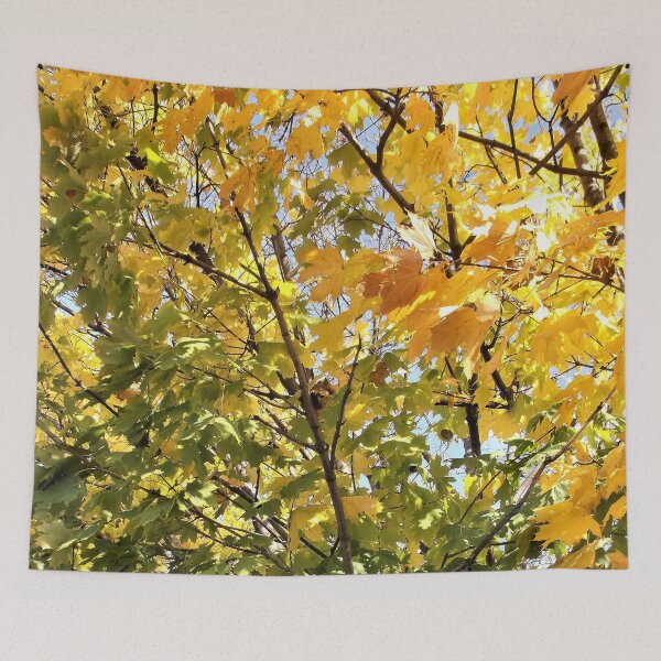 Item preview, Leaves Starting to Change designed and sold by Scott and Mary Schneider art_photography.