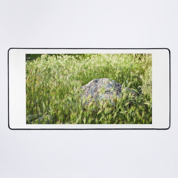 Item preview, Desert Grass designed and sold by BGSPhoto.