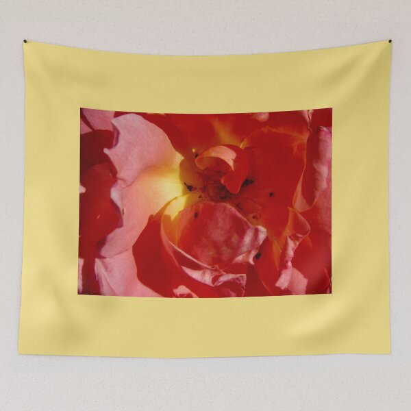 Item preview, Rose closeup designed and sold by Shulie1.