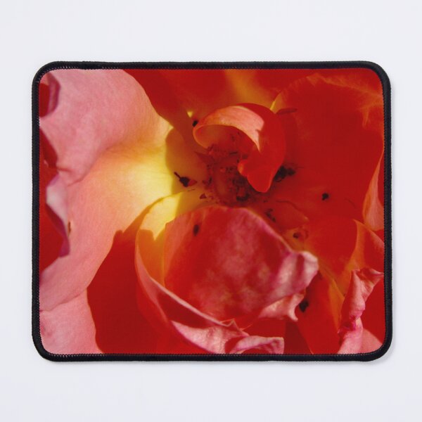 Item preview, Rose closeup designed and sold by Shulie1.