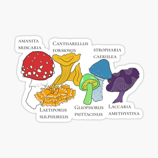 Item preview, Subtle Pride Rainbow Mushrooms designed and sold by ellejoyart.