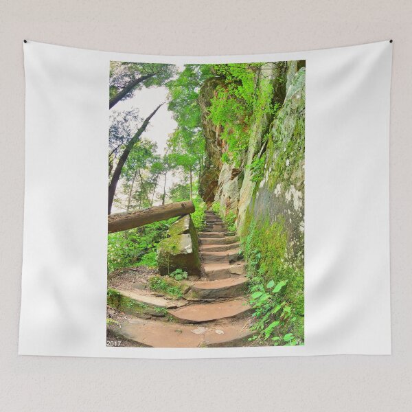 Item preview, The Stairs At Rock House Hocking Hills Ohio designed and sold by LisaWootenPhoto.