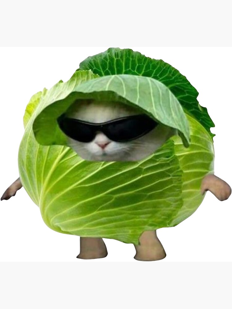 Cool Cabbage Cat meme" Magnet for Sale by memesandprints | Redbubble
