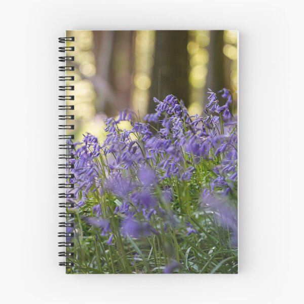 Item preview, British Bluebells in woodland designed and sold by Leighton Collins.