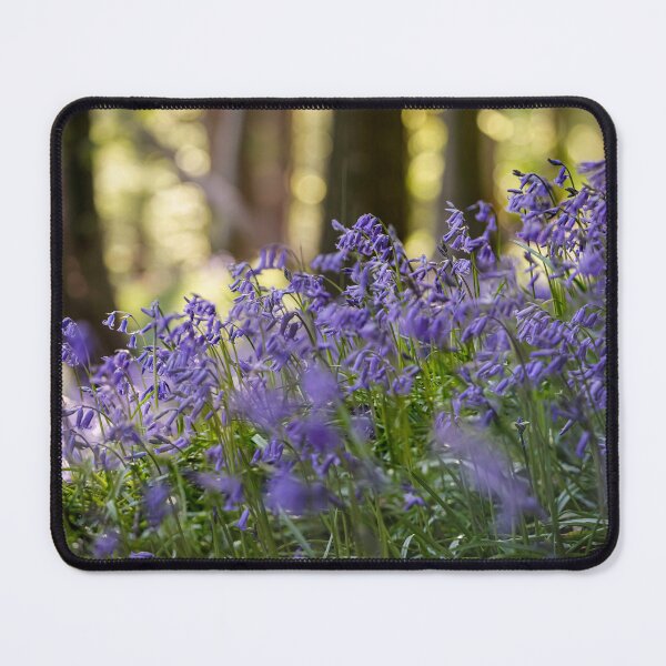 Item preview, British Bluebells in woodland designed and sold by Leighton Collins.