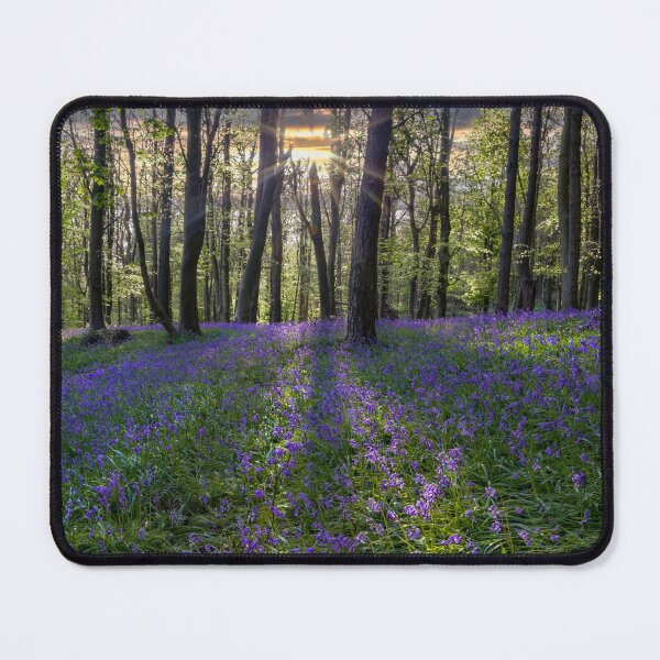 Item preview, Bluebell sunset designed and sold by Leighton Collins.