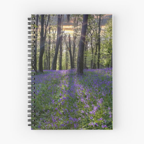 Item preview, Bluebell sunset designed and sold by Leighton Collins.
