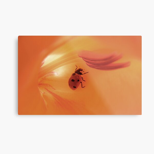 Item preview, Stamens designed and sold by ElsT.