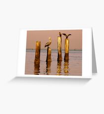 Pelican and Cormorant on the old Ice House Piers 3 Greeting Card