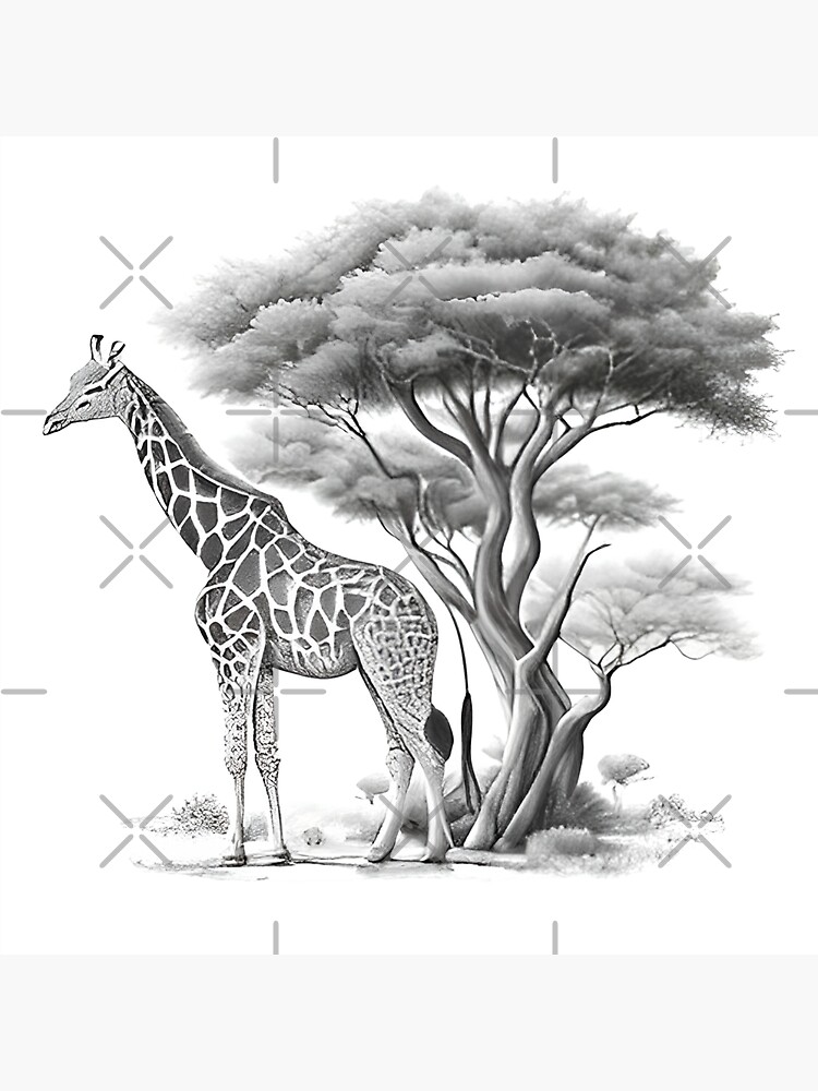 Pencil Cartoon png download - 468*700 - Free Transparent Giraffe png  Download. - CleanPNG / KissPNG