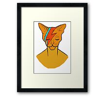 Impression encadrée