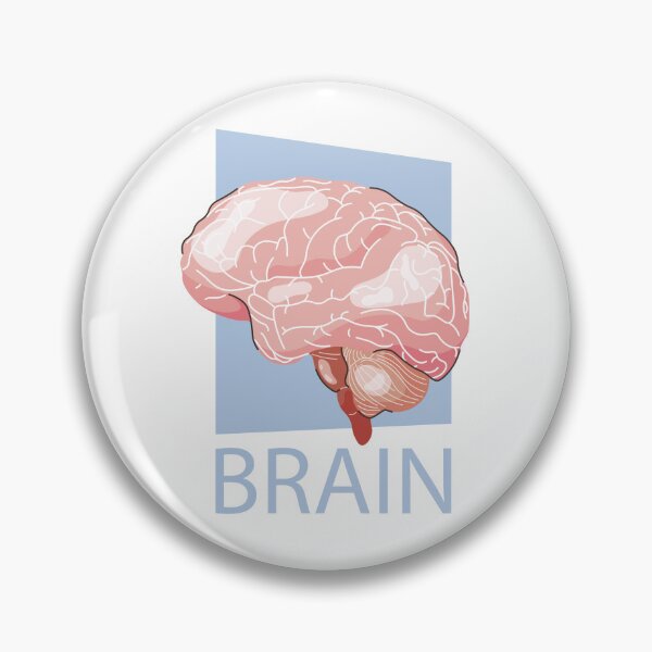 Item preview, Human brain on a white designed and sold by SoykAart.