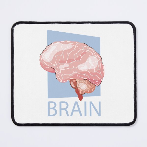 Item preview, Human brain on a white designed and sold by SoykAart.