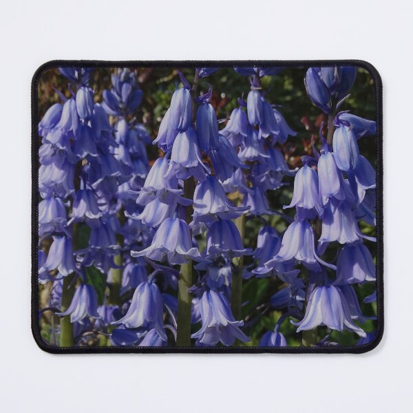 Item preview, Bluebell Delight designed and sold by GingerMan2550.