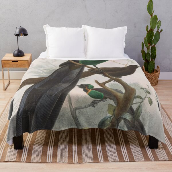 Item preview, Vintage Illustration of paradise bird, Astrapia nigra designed and sold by Lacasadellora.