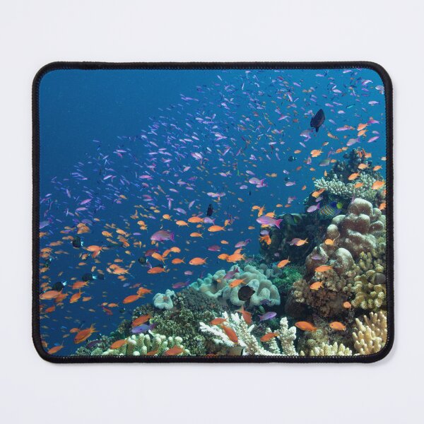 Item preview, Anthias Layer over Mellow Yellow designed and sold by Mark Rosenstein.