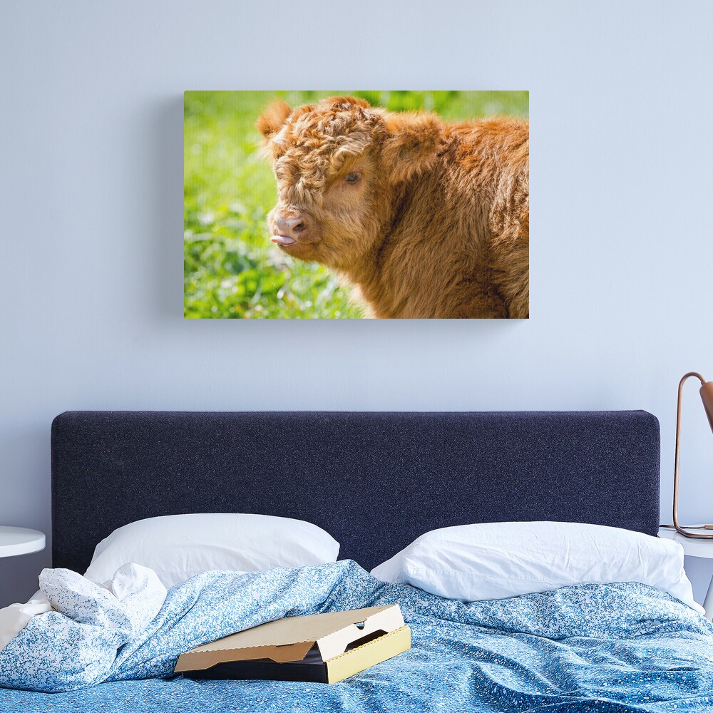 Raspberry Cow Photographic Print for Sale by Jane Stanley