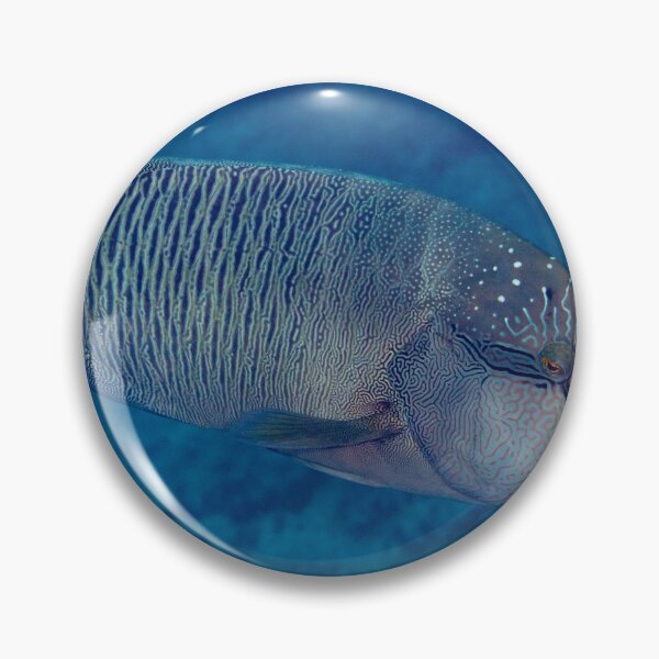 Artikelvorschau, Napoleon-Lippfisch im offenen Wasser entworfen und verkauft von Mark Rosenstein.
