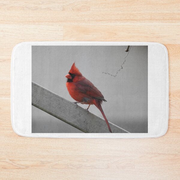 Item preview, Cardinal designed and sold by Faunagraphy360.