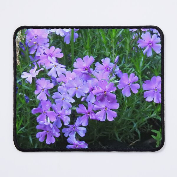 Item preview, Phlox flowers designed and sold by Faunagraphy360.