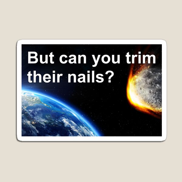 Nail Trimming Magnets for Sale