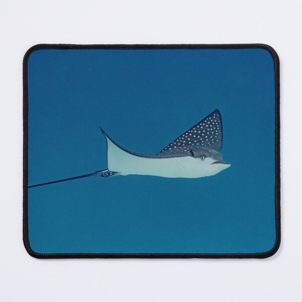 Item preview, An Eagle Ray Soars Through the Water designed and sold by Mark Rosenstein.
