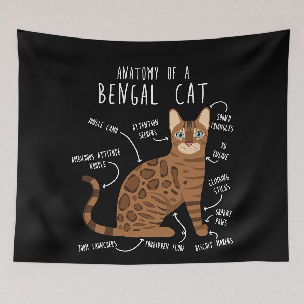 Item preview, Bengal Cat Anatomy designed and sold by Clara Hollins.