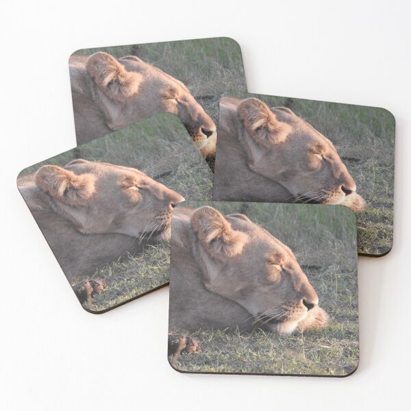 Item preview, Lioness designed and sold by Faunagraphy360.