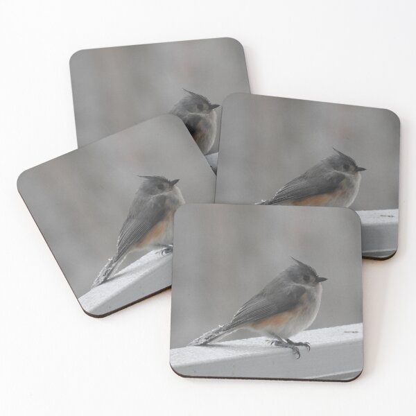 Item preview, Bird in winter designed and sold by Faunagraphy360.