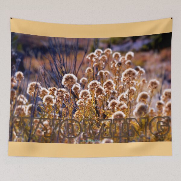 Item preview, Indian Summer designed and sold by seventySIXart&photo .