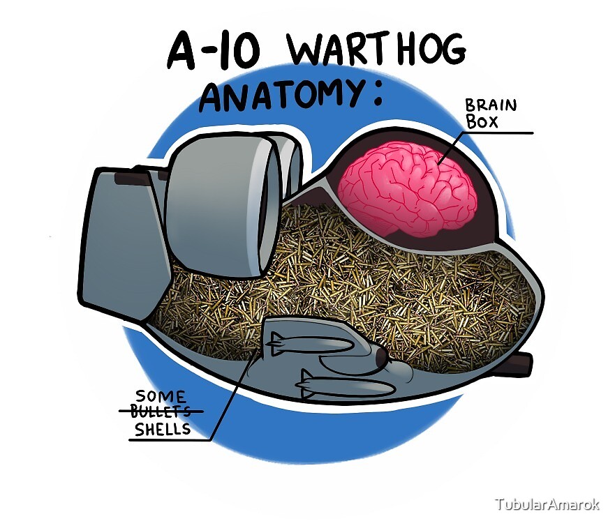 "A10 Anatomy For Dummies" by TubularAmarok Redbubble