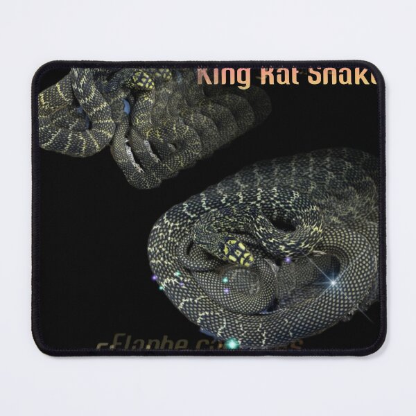 Item preview, King Rat Snake designed and sold by StrangeFetish.