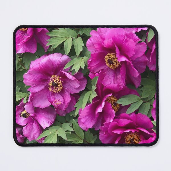 Item preview, Beautiful peony designed and sold by OrsyniArt.
