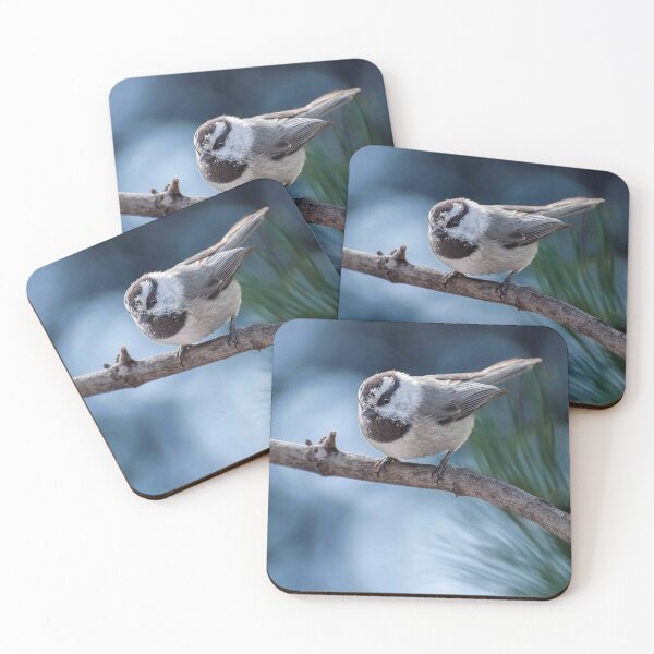 Item preview, Mountain Chickadee Perched on a Branch designed and sold by Jeff Goulden Photography.