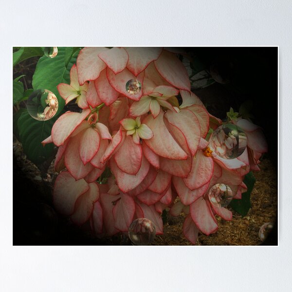 Item preview,  "Pretty Blooms" designed and sold by debsphotos.