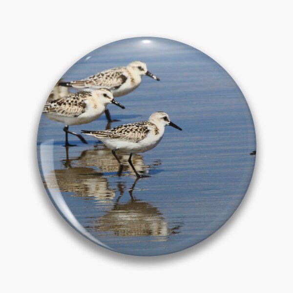 Item preview, Come Along Everyone, the Water's Just Fine! designed and sold by fototaker Tony.