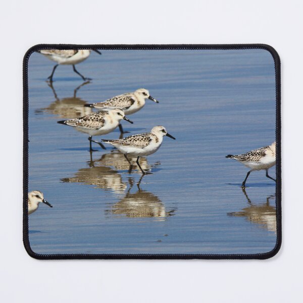 Item preview, Come Along Everyone, the Water's Just Fine! designed and sold by fototaker Tony.