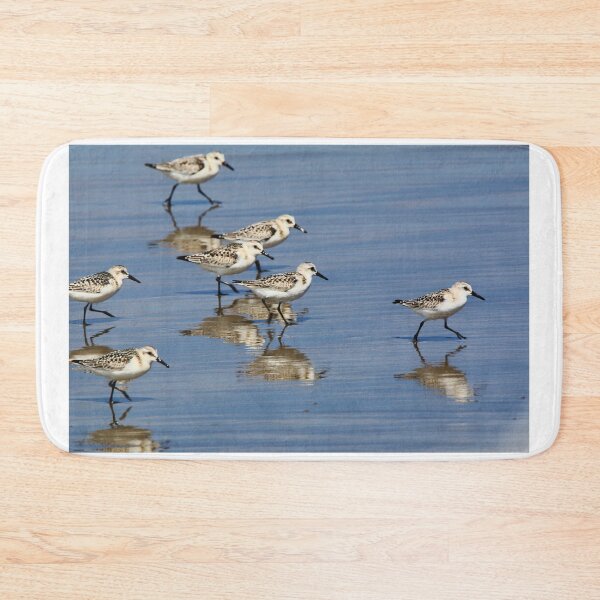 Item preview, Come Along Everyone, the Water's Just Fine! designed and sold by fototaker Tony.