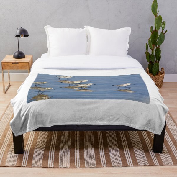 Item preview, Come Along Everyone, the Water's Just Fine! designed and sold by fototaker Tony.