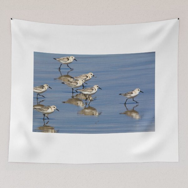 Item preview, Come Along Everyone, the Water's Just Fine! designed and sold by fototaker Tony.