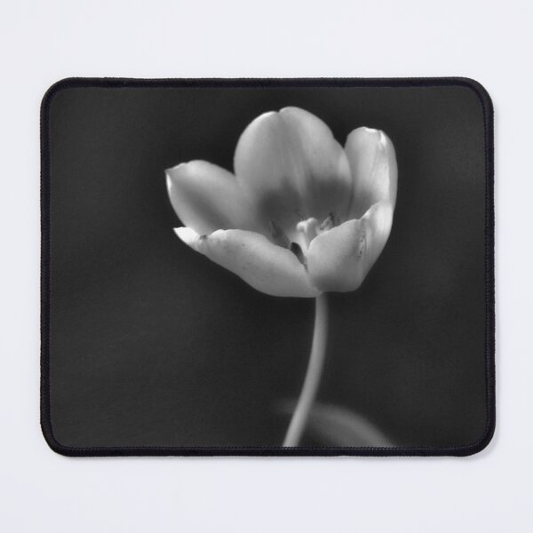 Item preview, Soft And Gentle Black and White Flower designed and sold by Linda Sannuti.