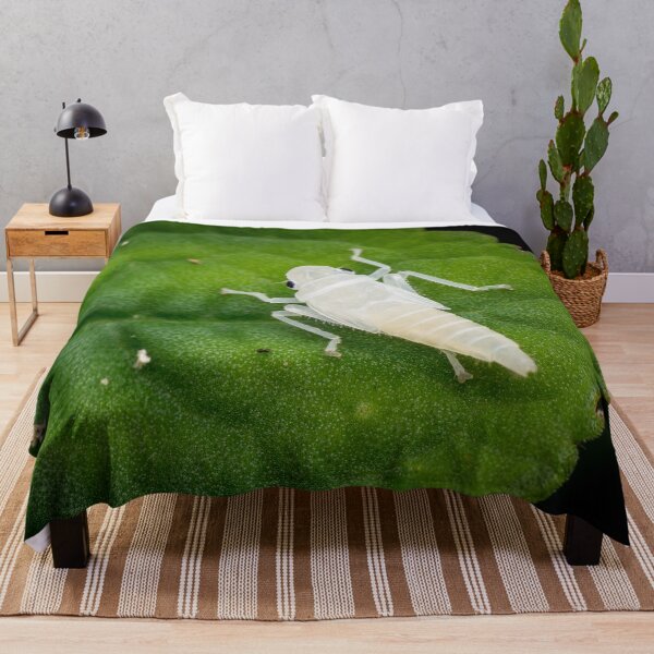 Item preview, A newly emerged white leafhopper nymph (Cicadellidae)! designed and sold by AvonPerception.
