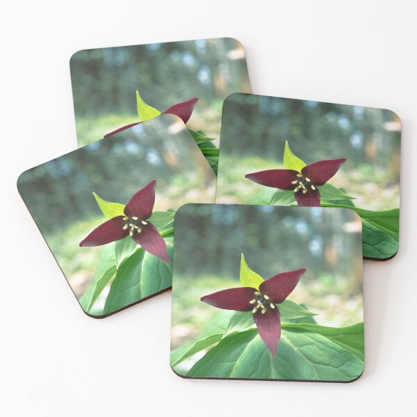Item preview, Red Trillium designed and sold by liamofthewoods.