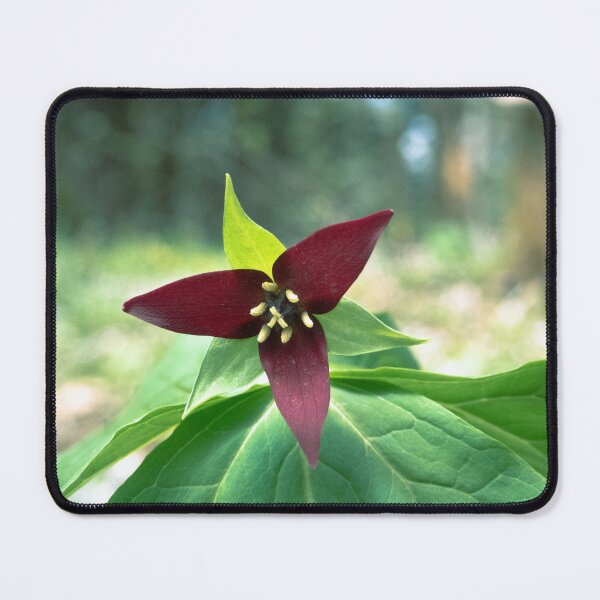 Item preview, Red Trillium designed and sold by liamofthewoods.