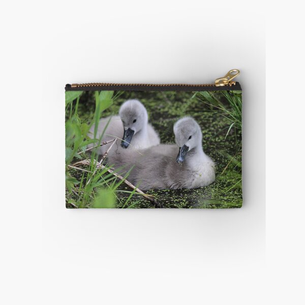 Item preview, Two cygnets designed and sold by Linda Crockett.