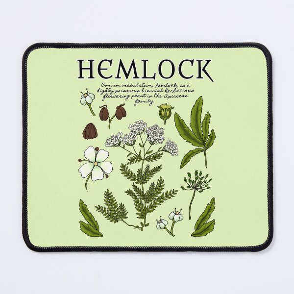 Item preview, Hemlock Botanical  designed and sold by Wonderspell Studio.
