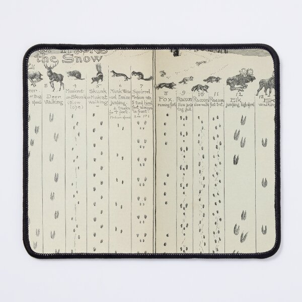 Item preview, Vintage Animal Tracks in the Snow Diagram (1912) designed and sold by BravuraMedia.