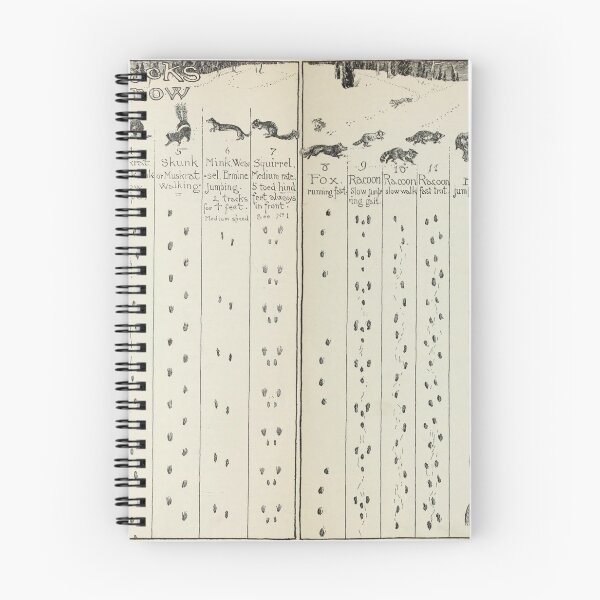 Item preview, Vintage Animal Tracks in the Snow Diagram (1912) designed and sold by BravuraMedia.