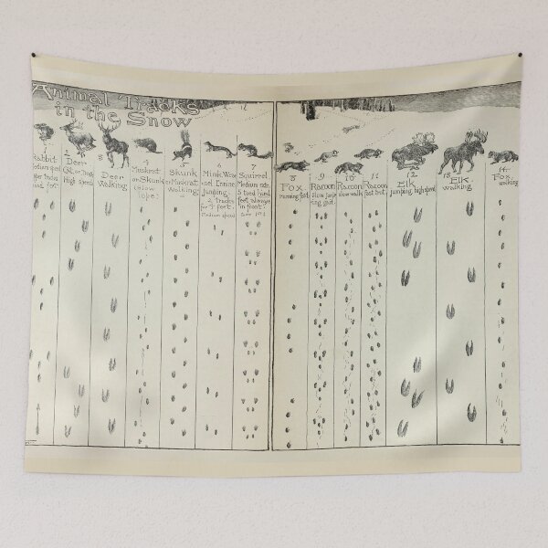 Item preview, Vintage Animal Tracks in the Snow Diagram (1912) designed and sold by BravuraMedia.